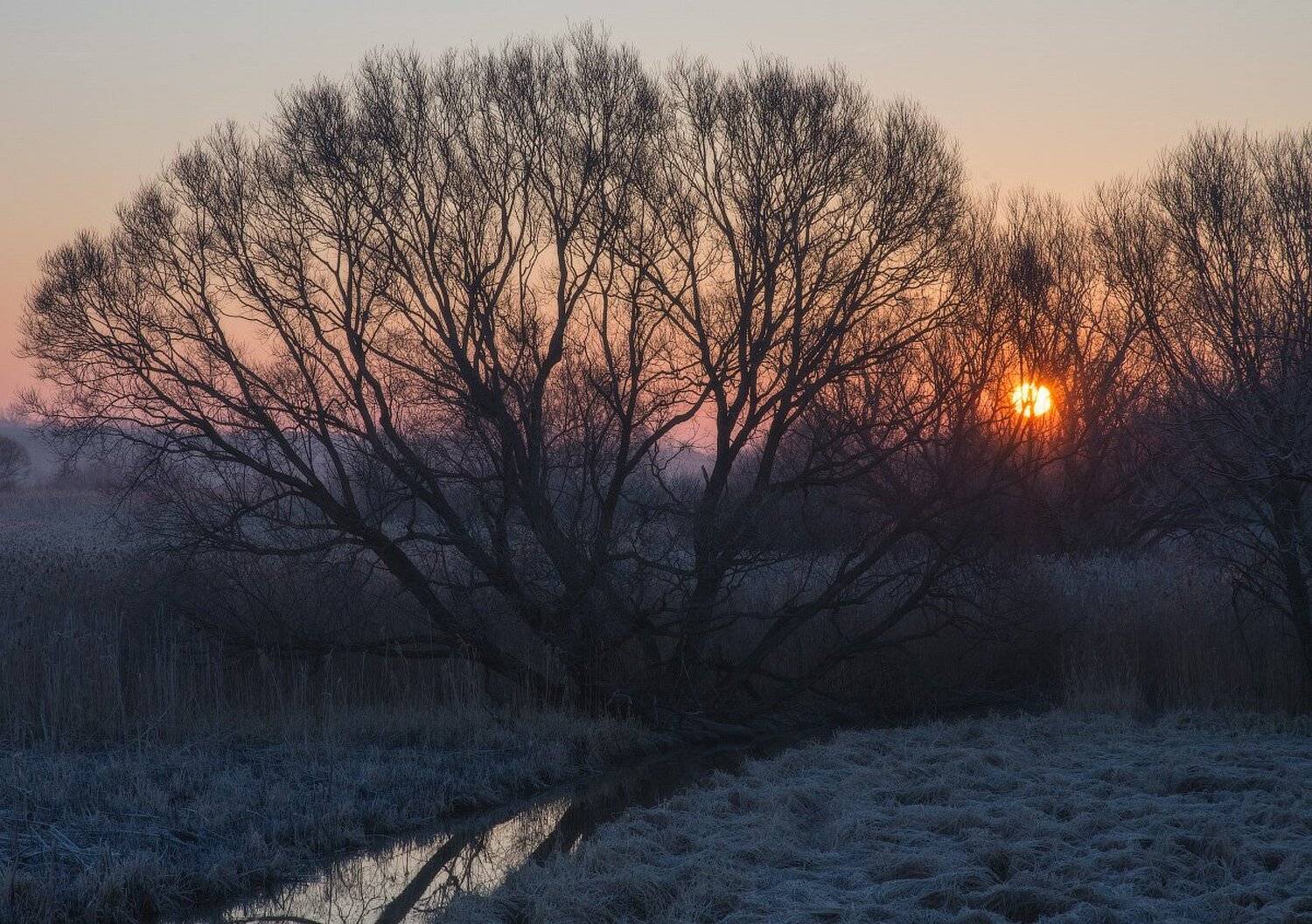 берега, весна, заморозки, март, рассвет, река, ручей, солнечное утро, солнце, утро, Сергей Добровольский