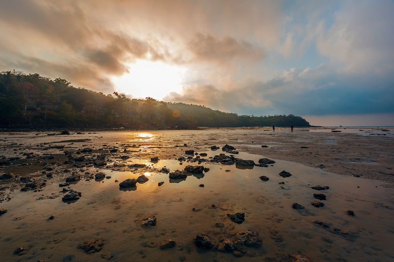 Island, Phi phi, Phi phi don, Thailand Phi Phi фото превью
