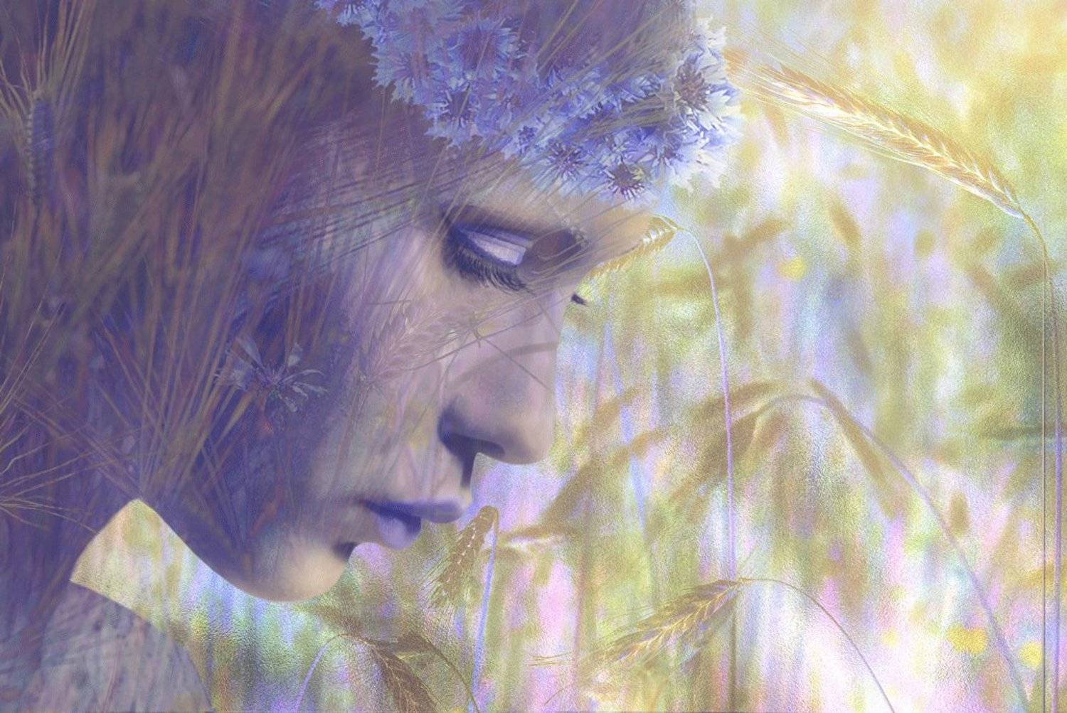 Васельки, Девушка, Колосья, Профиль, Цветы, Nataliorion