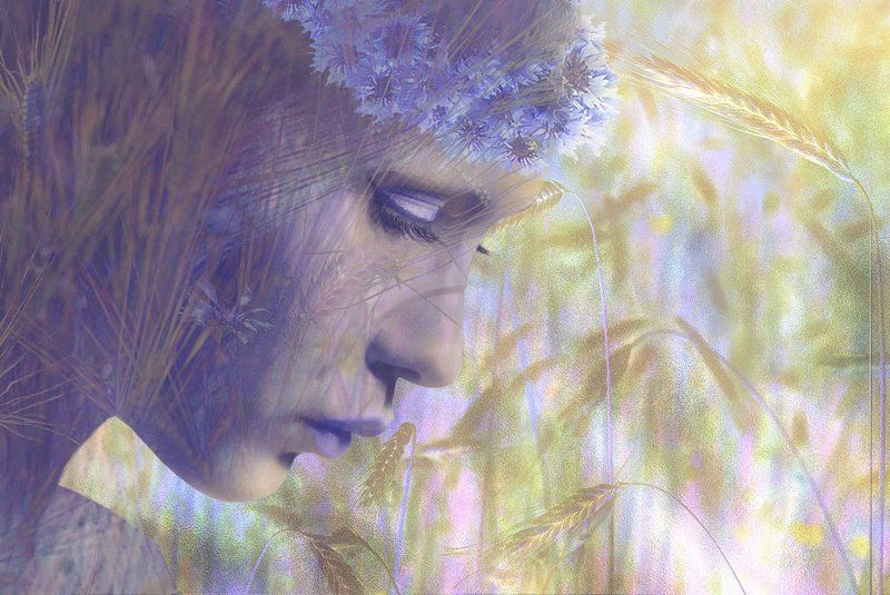 Васельки, Девушка, Колосья, Профиль, Цветы Истоки.... фото превью