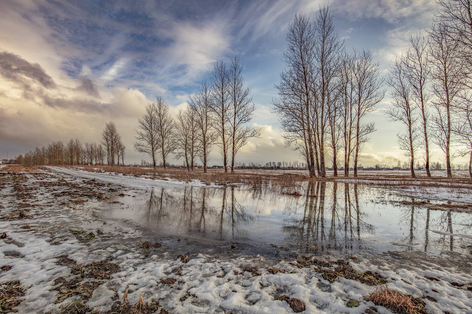 ,  александр михайлов