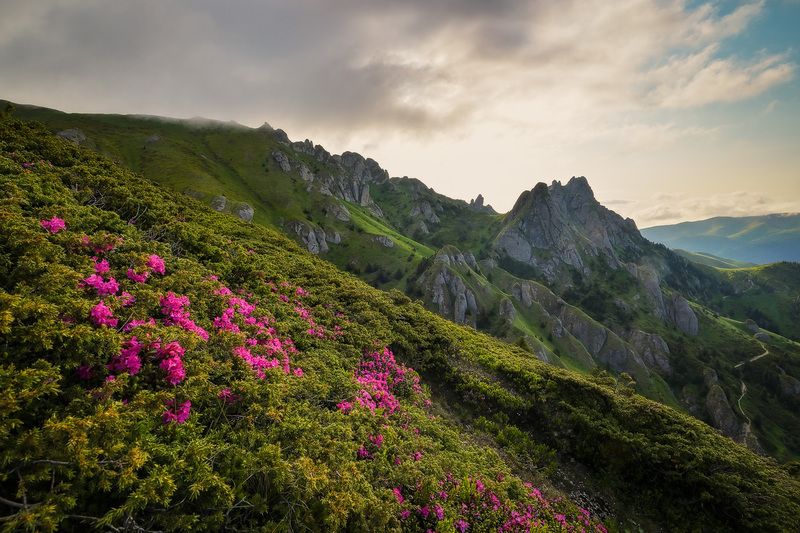 2025 фото превью
