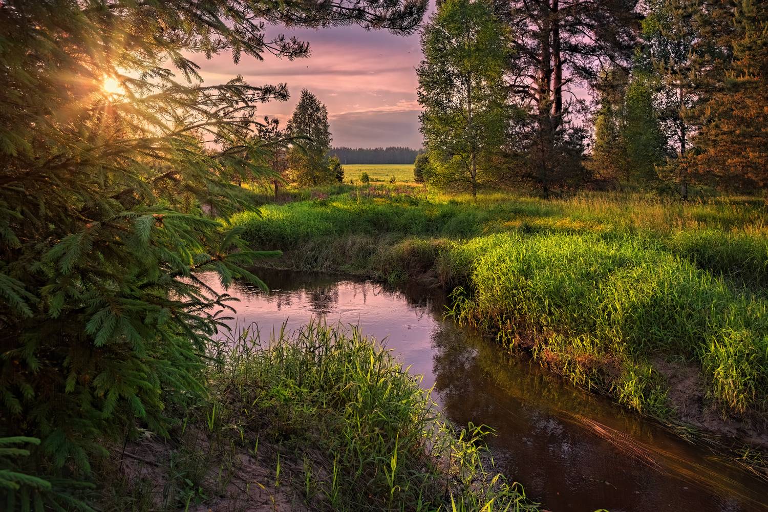 , Евгений Ерохин