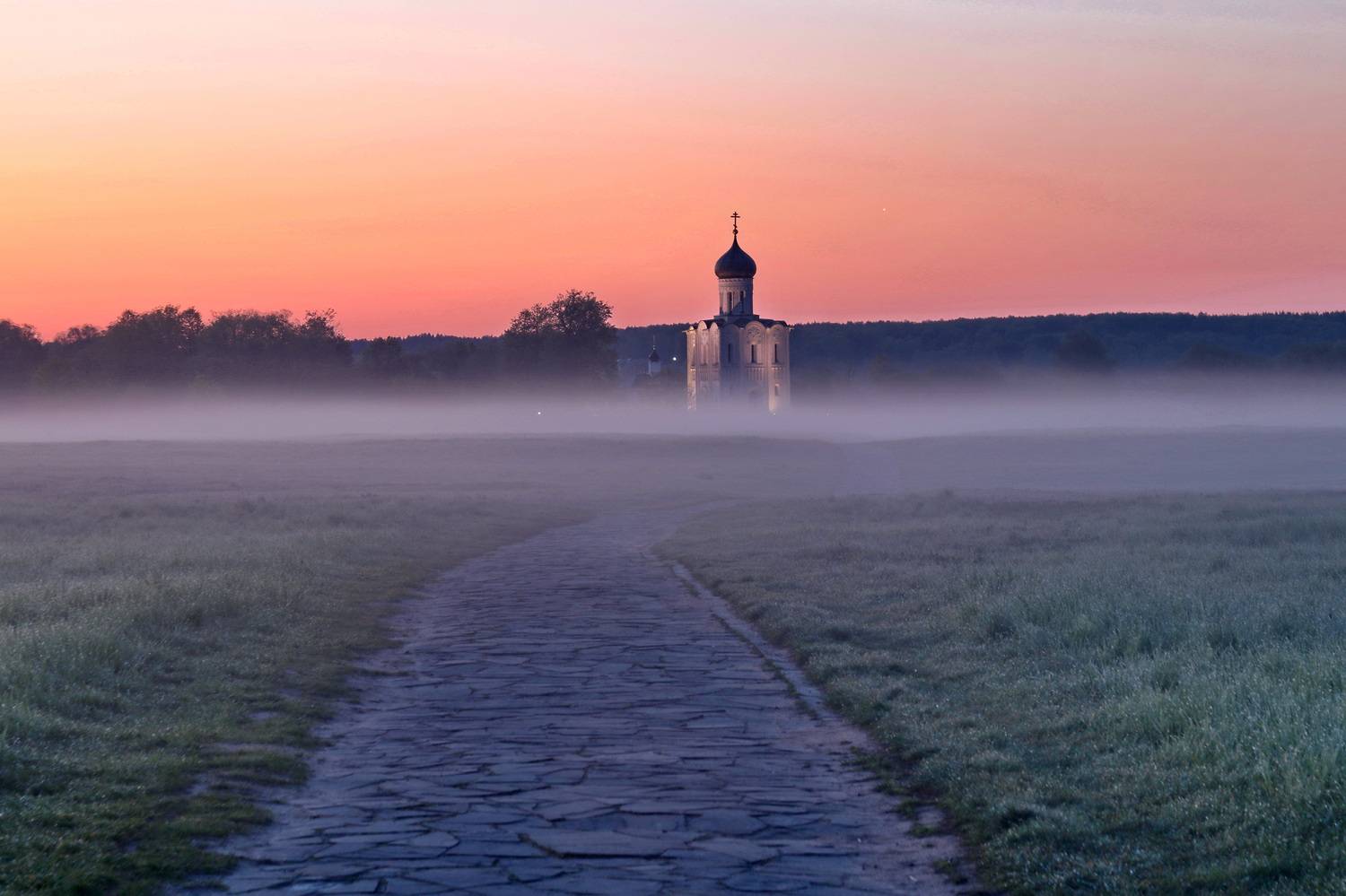 , Добролюбова Тамара