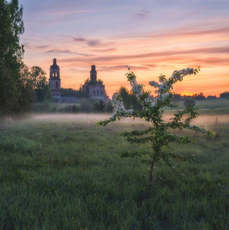 В Пантыле яблони цветут фото превью