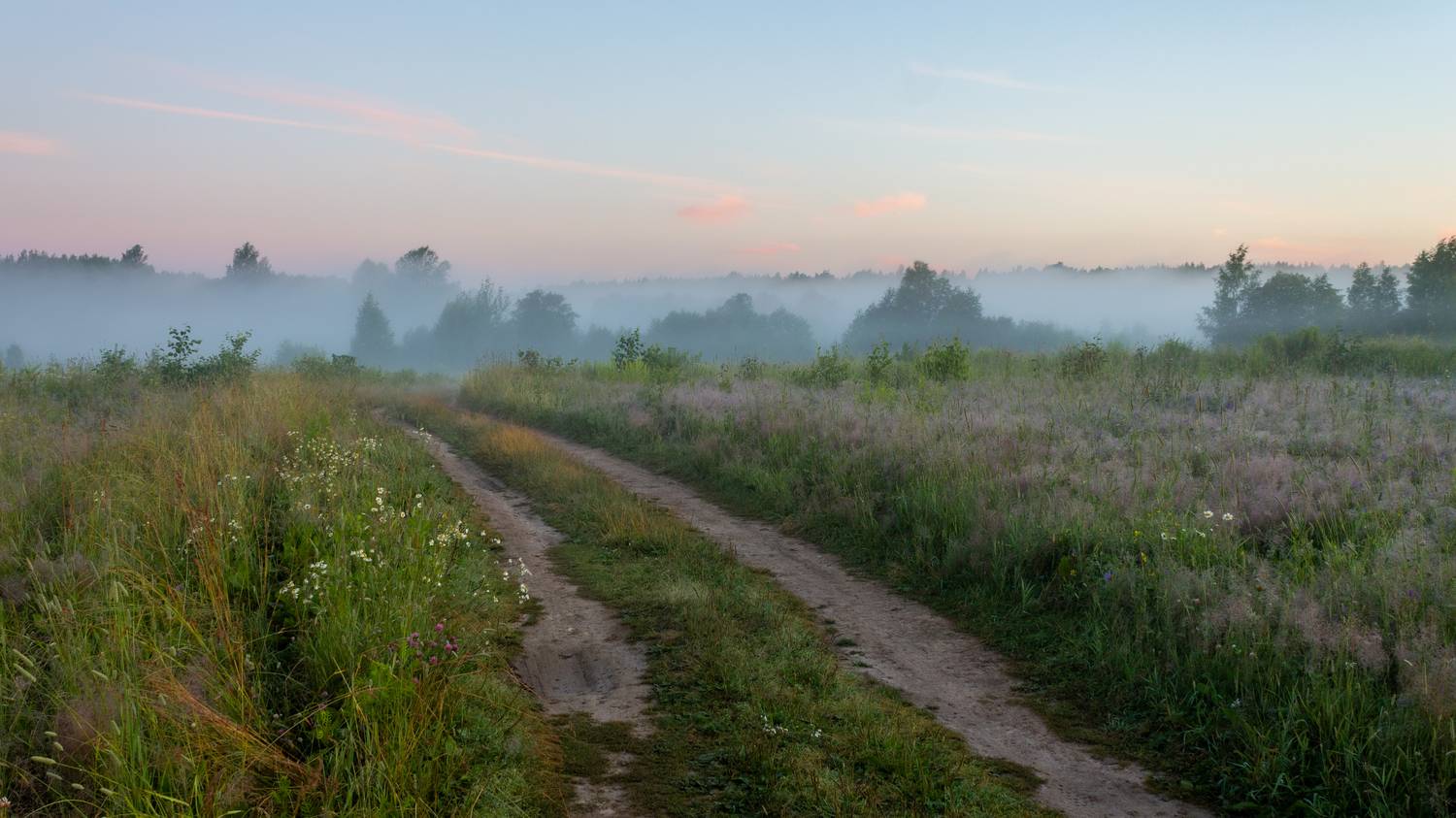 , Комарова Вера