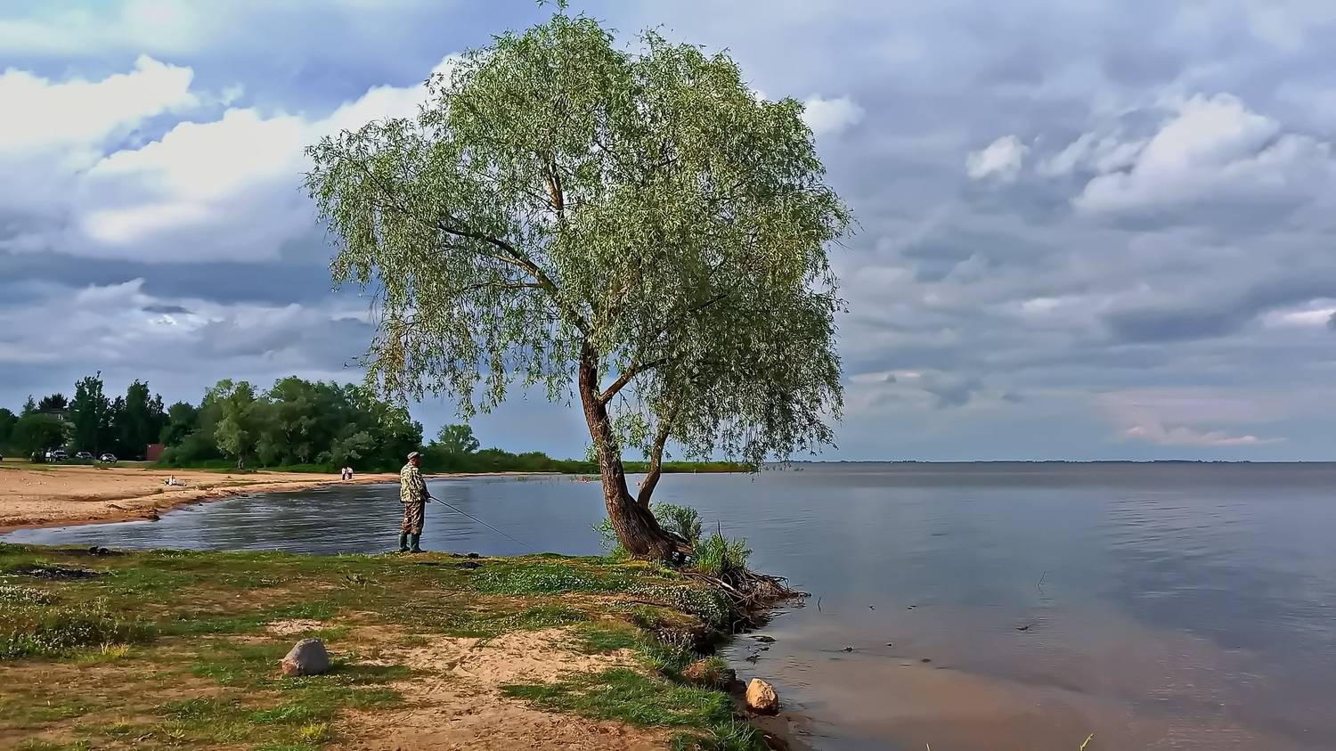 , Николаев Владимир