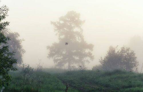 УТРО (3 фото)