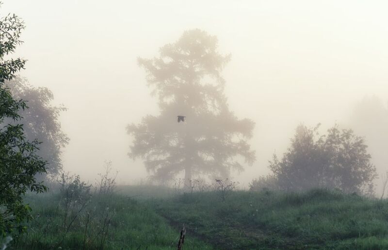 пейзаж,  седельниковский район, утро, туман, УТРО (3 фото) фото превью