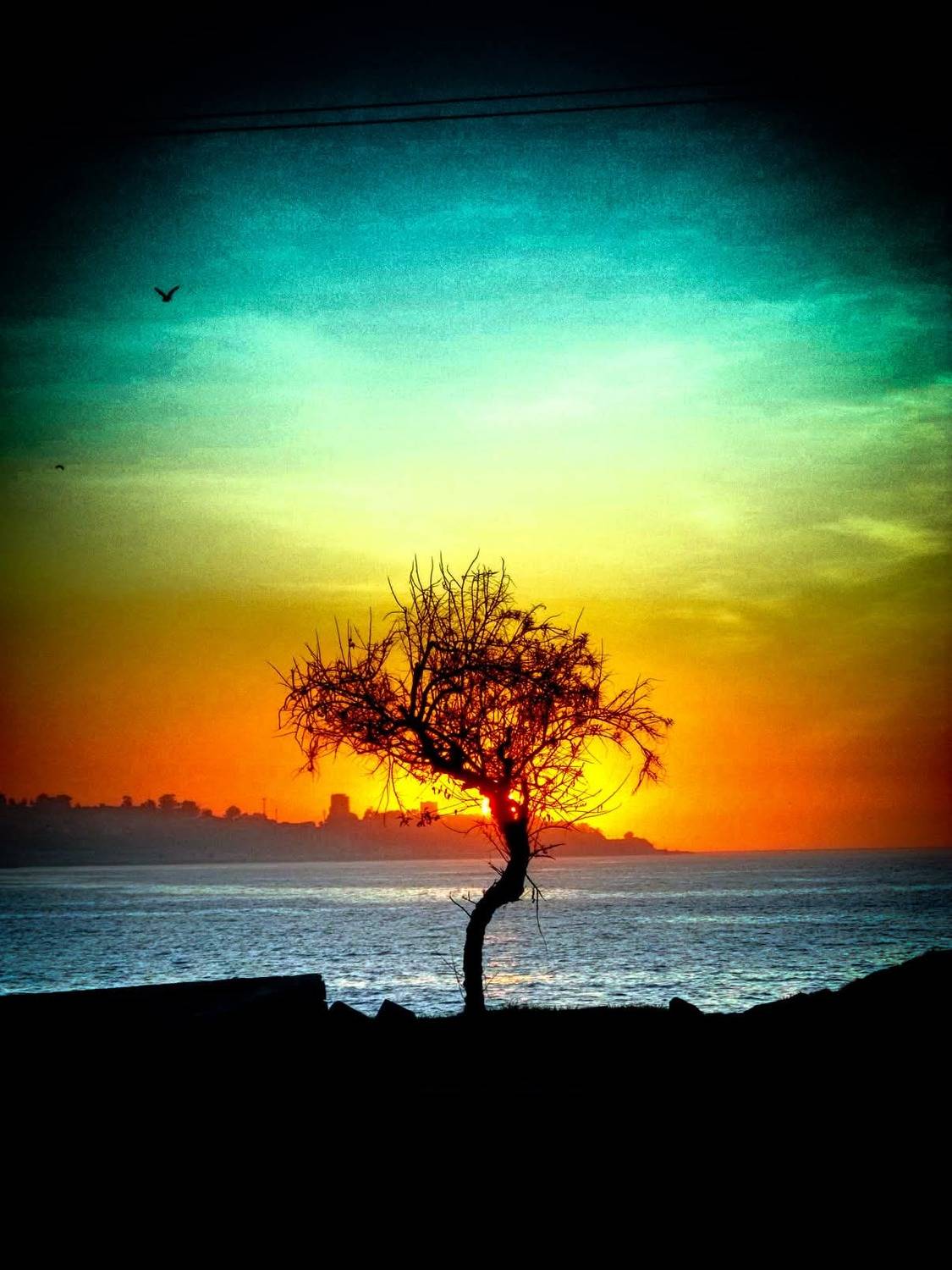 streetphotography, street, fotograf&iacute;a callejera, bastian cifuentes araya, periodista furioso, streetphoto, street photo, street photography, landscape, atardecer, paisaje,, Basti&aacute;n Cifuentes Araya