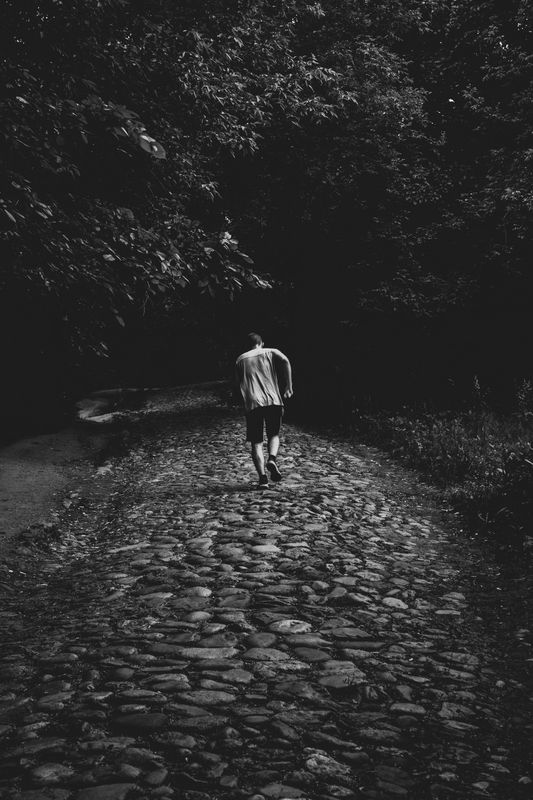 P391 фото превью