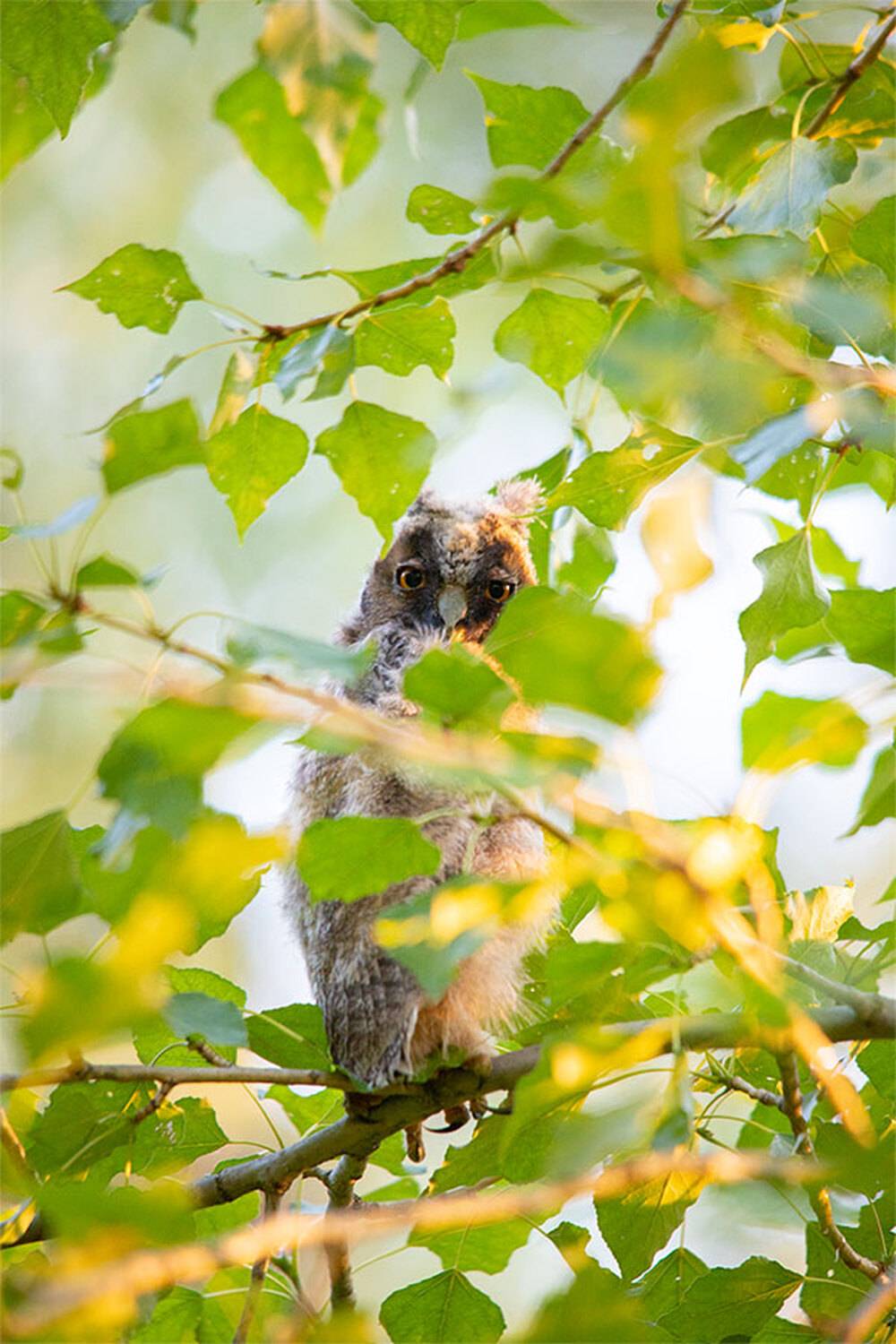, Чудинин Дмитрий