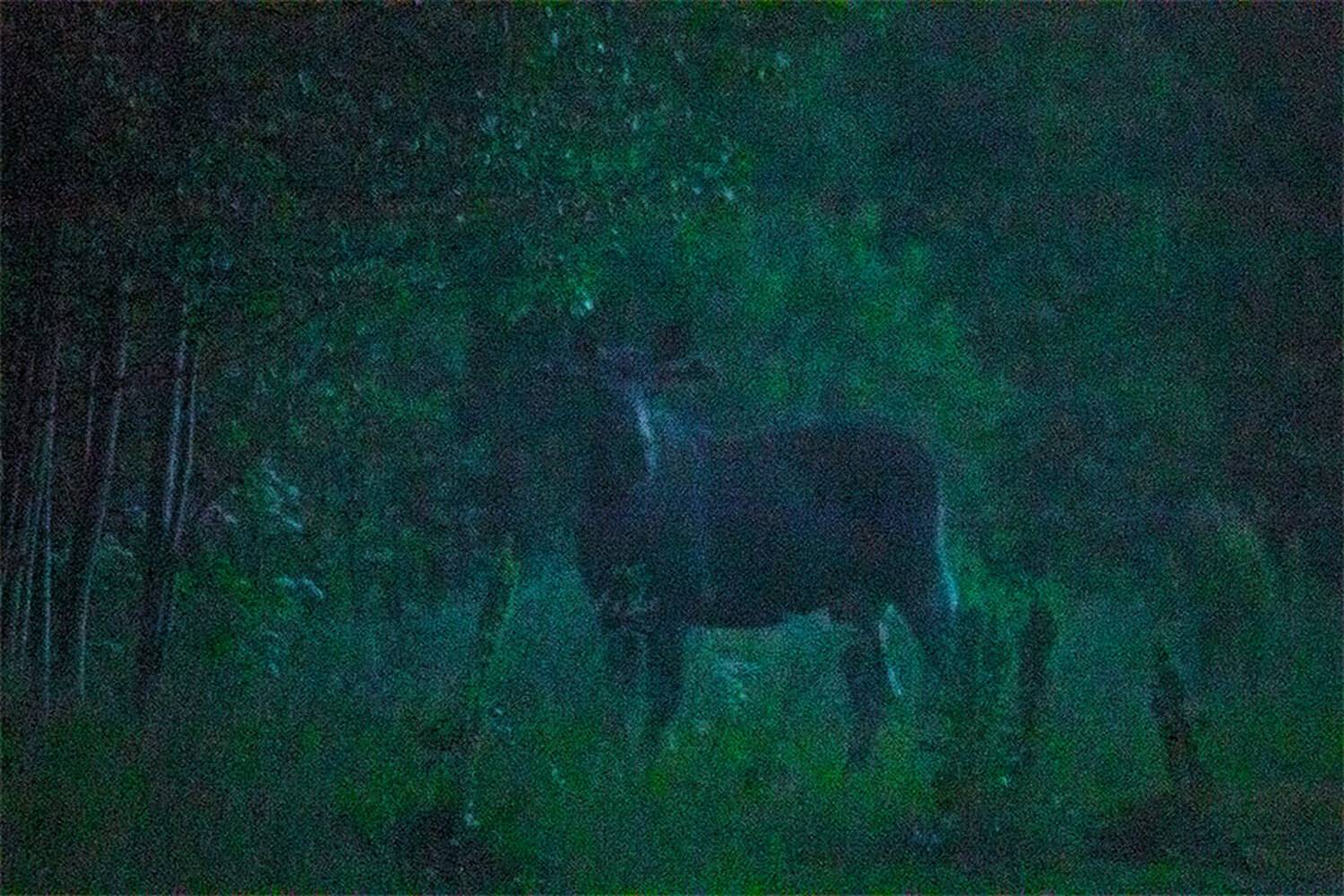 , Чудинин Дмитрий