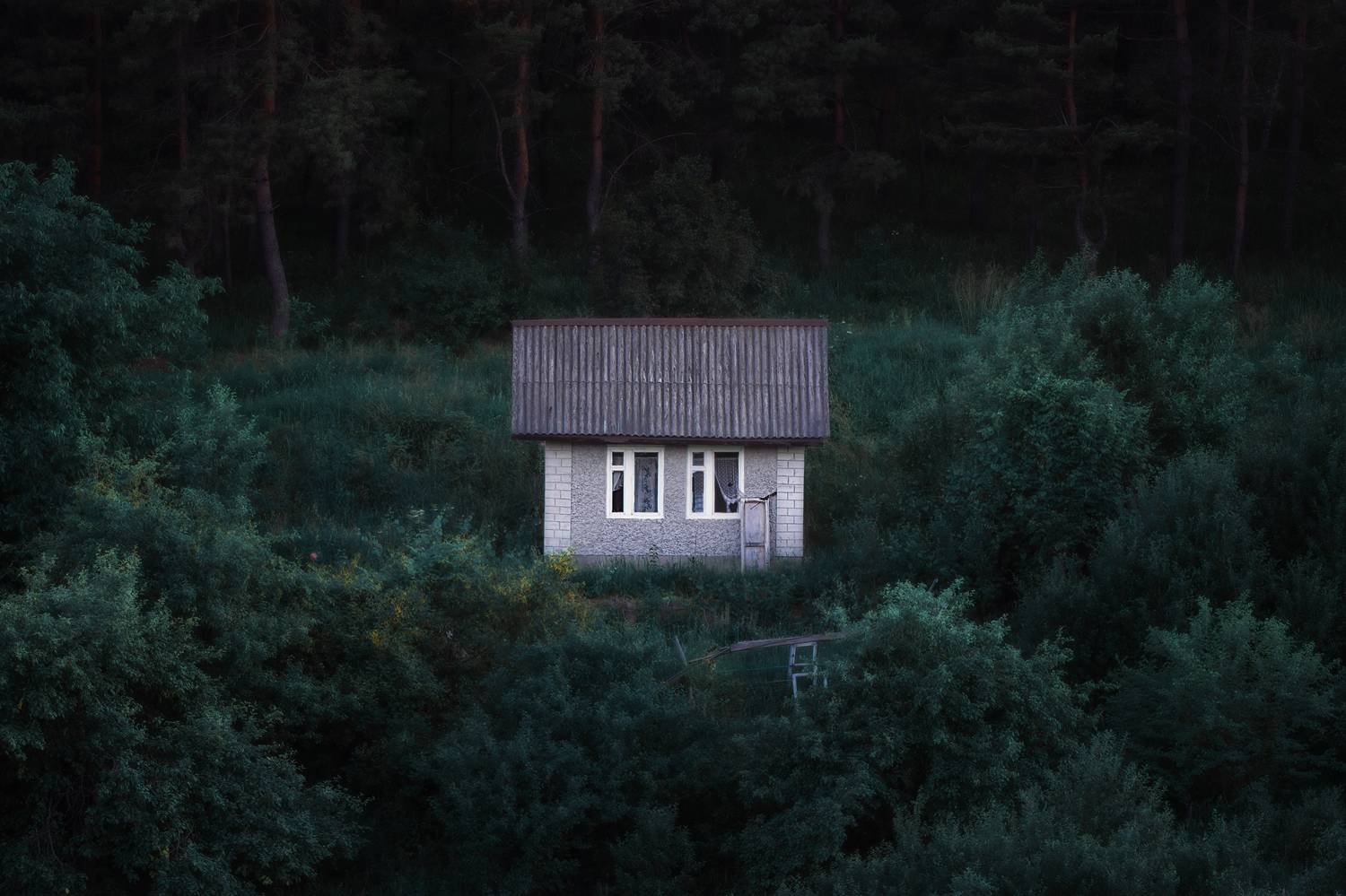 , Павел Абакумов