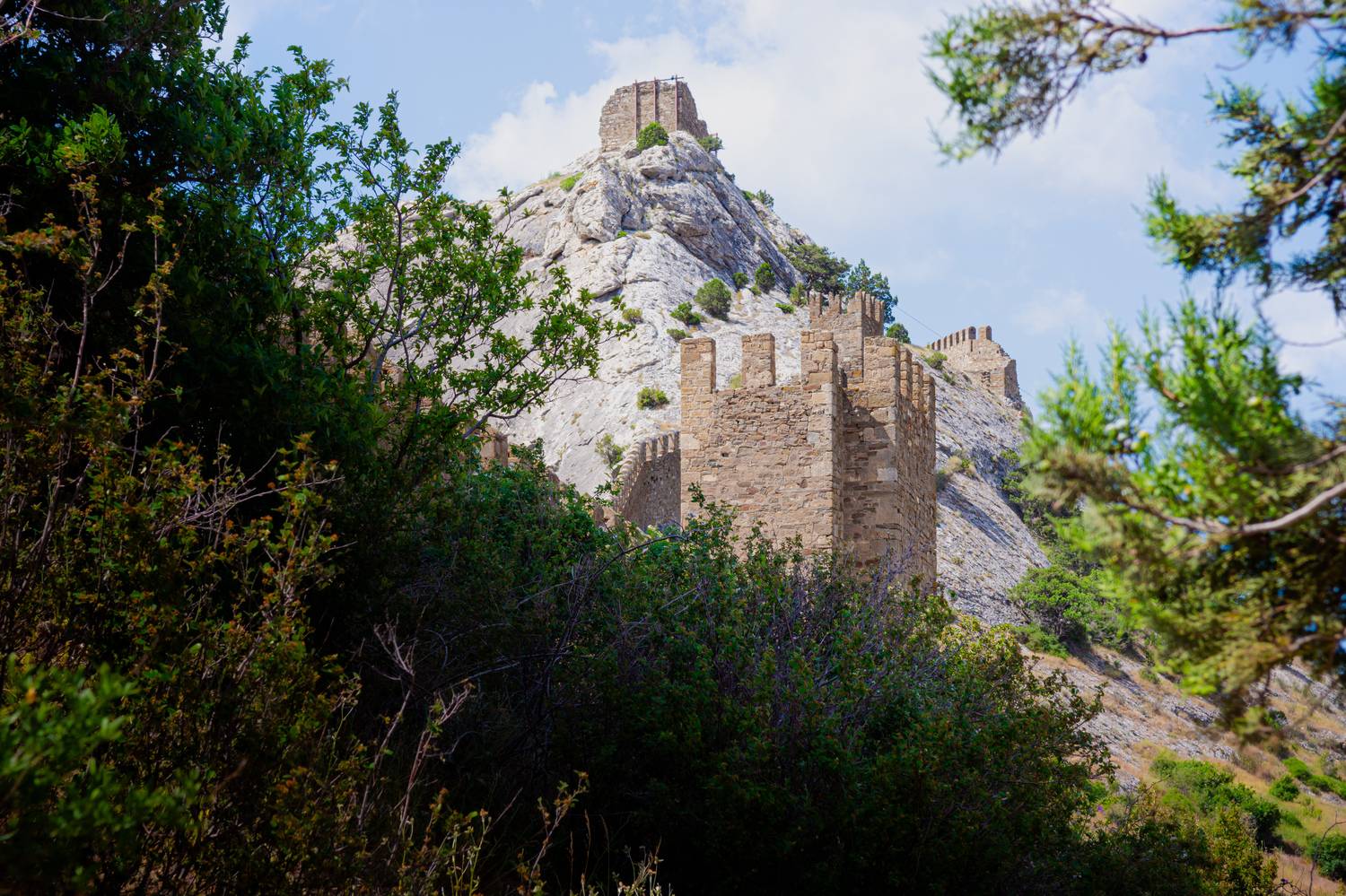 , Алексей Ильин