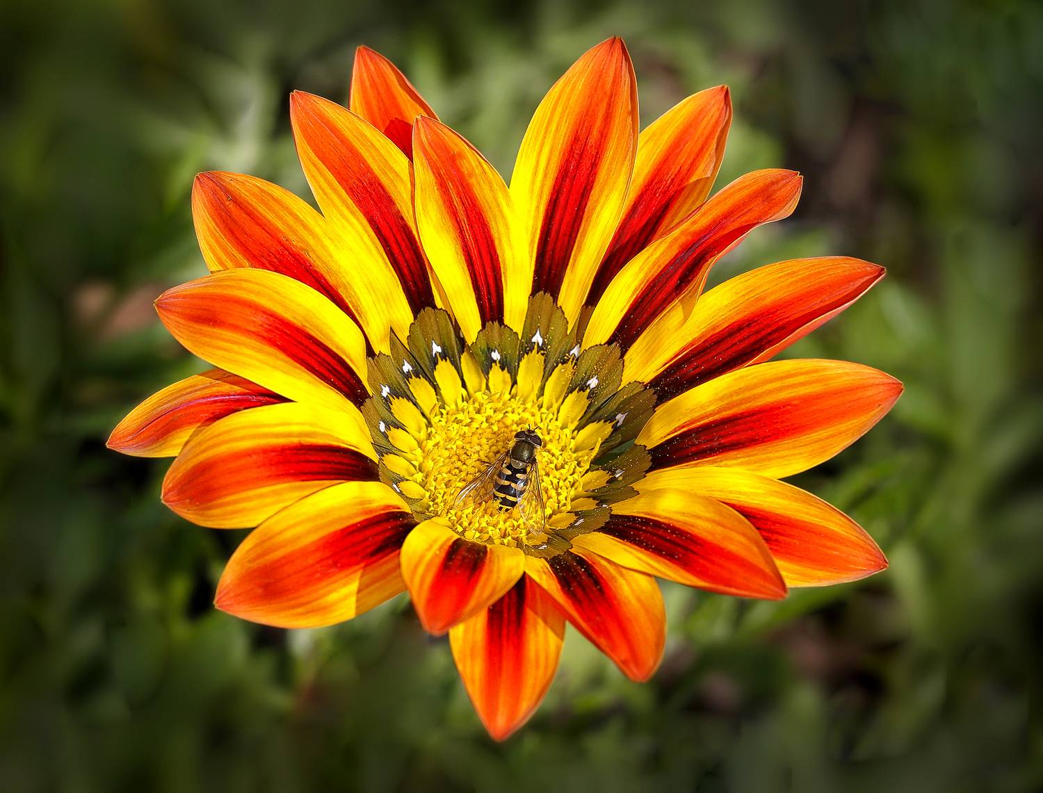 , Ушаков Валерий