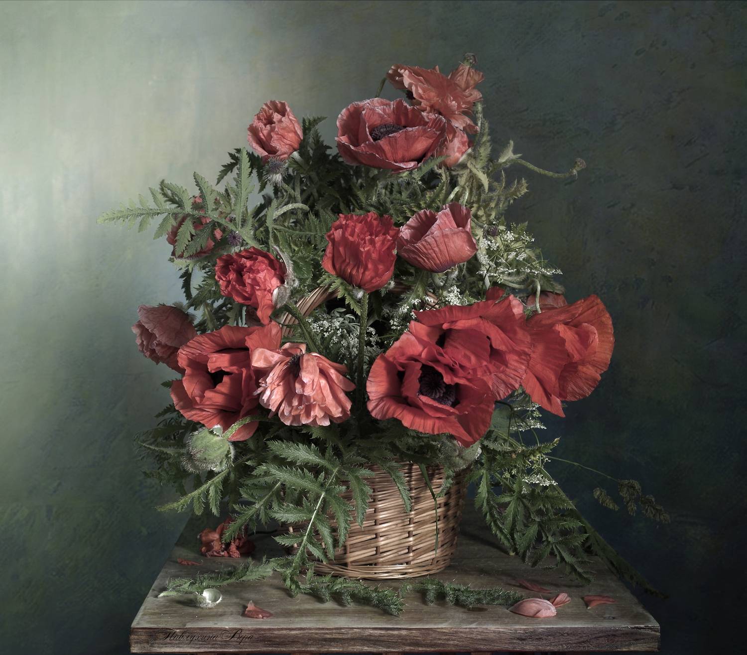 натюрморт,вера павлухина,лето,маки,красные,, Вера  Павлухина