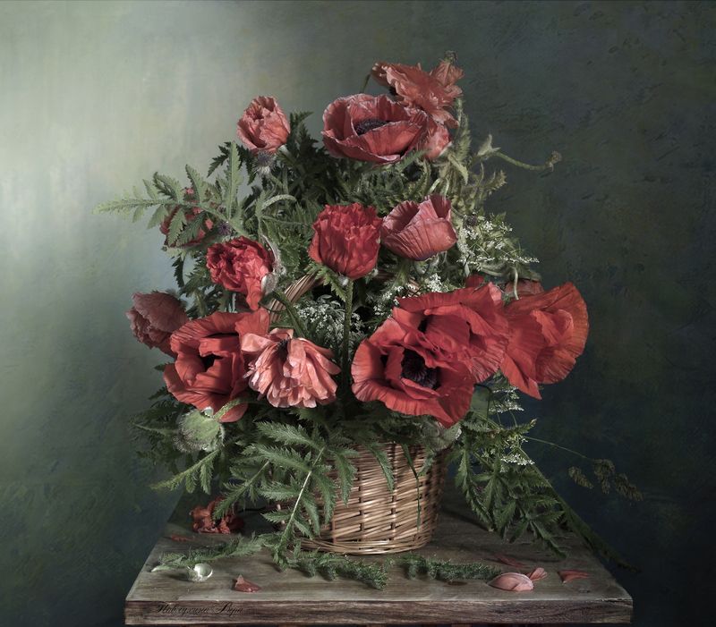 Маки в корзинке. фото превью