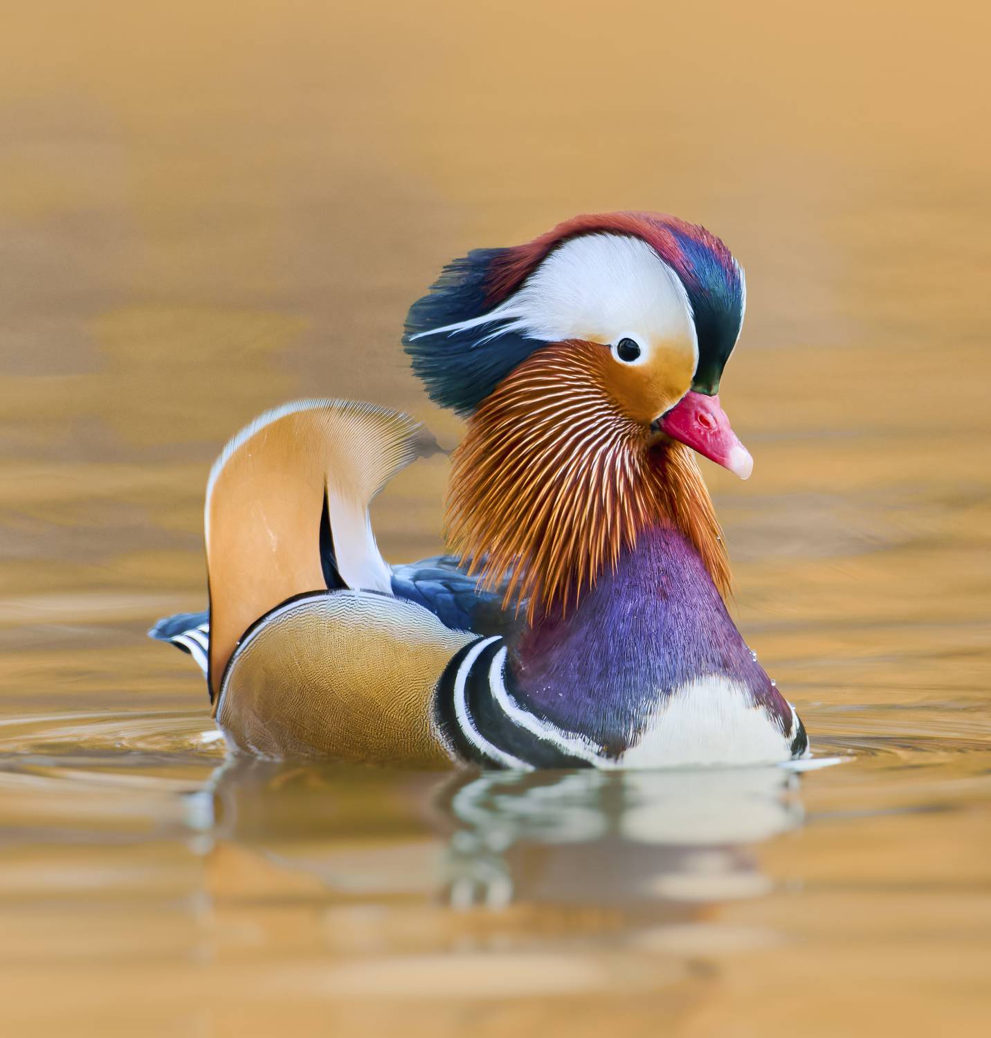 , Фото Александр