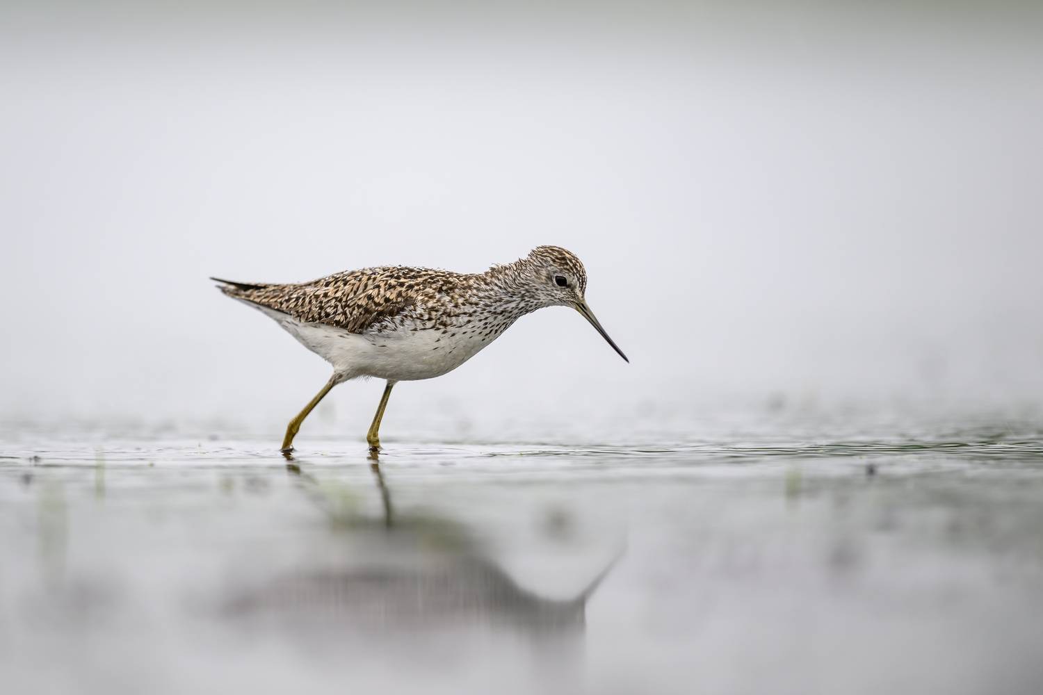 , Пупонин Сергей