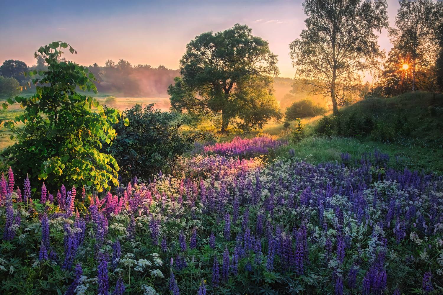 , Евгений Ерохин