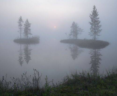 Утреннее безмолвие