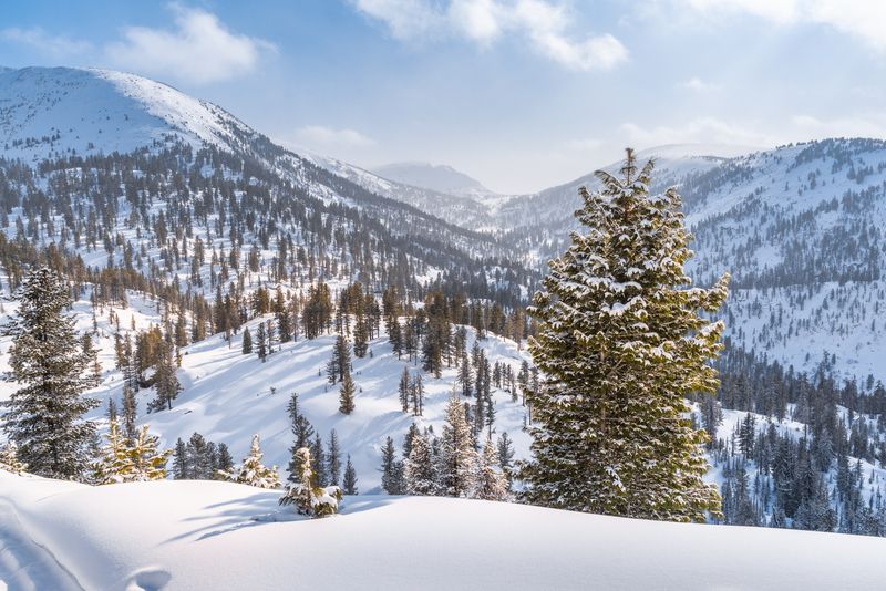 Зима, снег, Хамар-Дабан, Прибайкалье, закат Перед Чёртовыми воротами фото превью