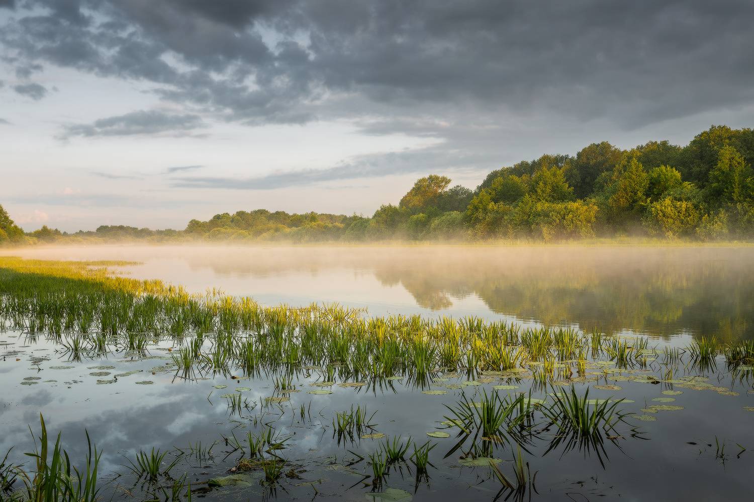 утро лето озеро берег туман солнце, Михаил Корнилов