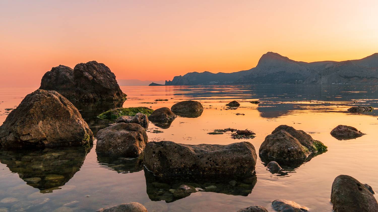 , Вадим Коваленко