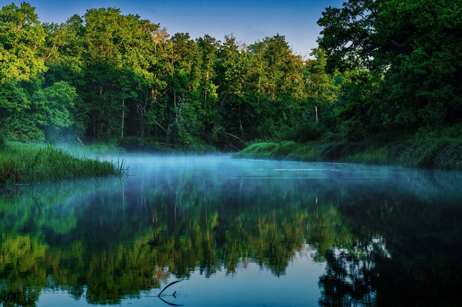 , Павел Ныриков