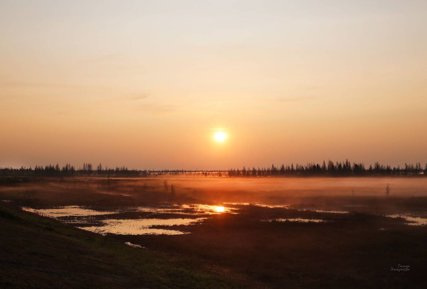 рассвет, солнце, туман, тундра, деревья, тональная перспектива, воздушная перспектива, Галина Лоскутова