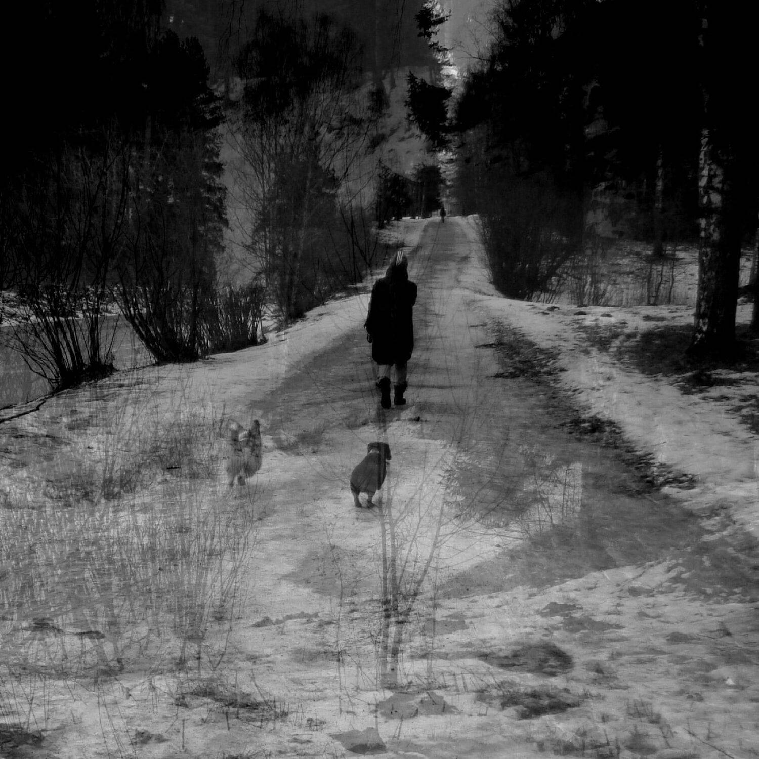 , Антон Лаба