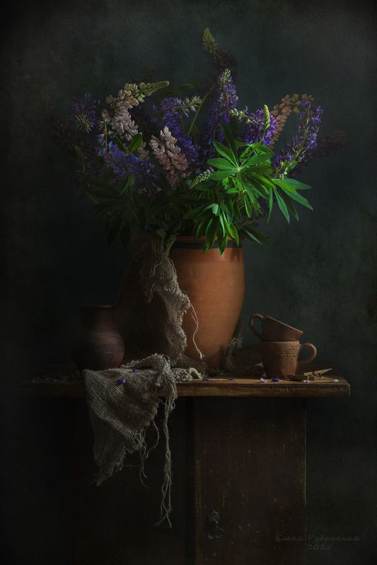 Люпины фото превью