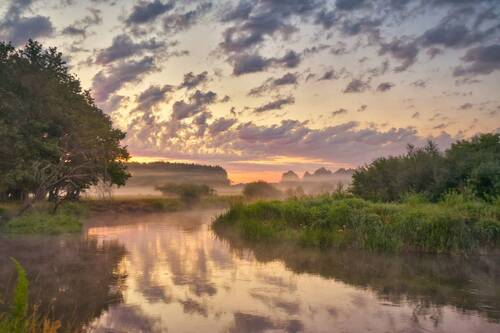 Неман рассветный