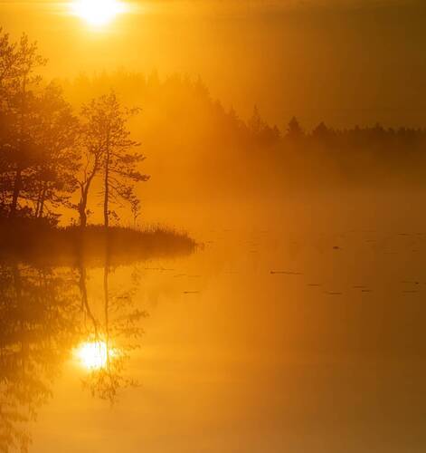 Утро на озере