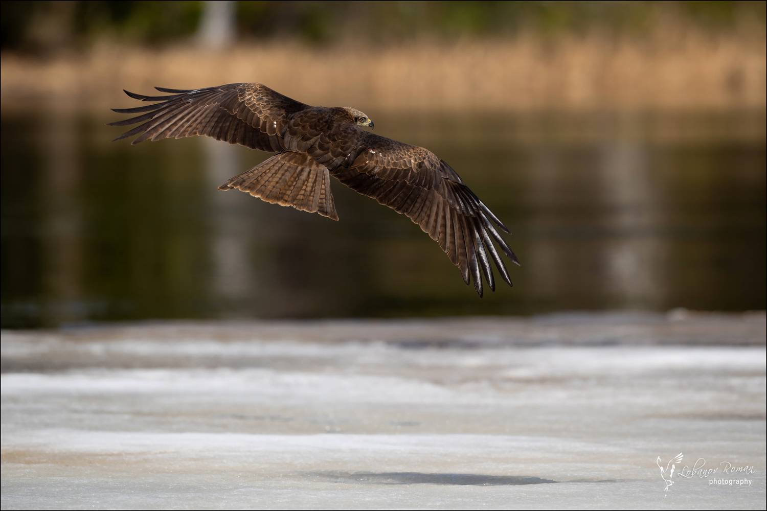 , Лобанов Роман