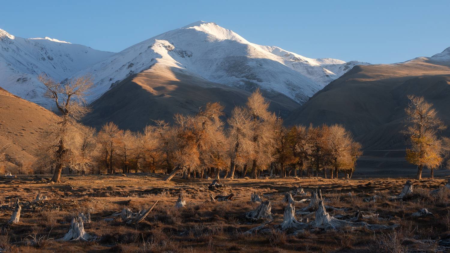 , Мозжухин Максим