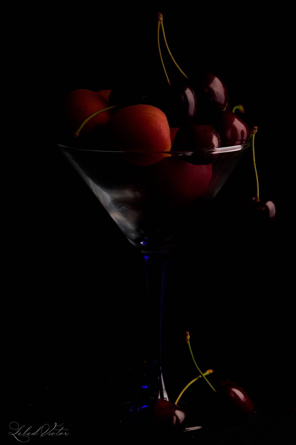 , Виктор Лебедь