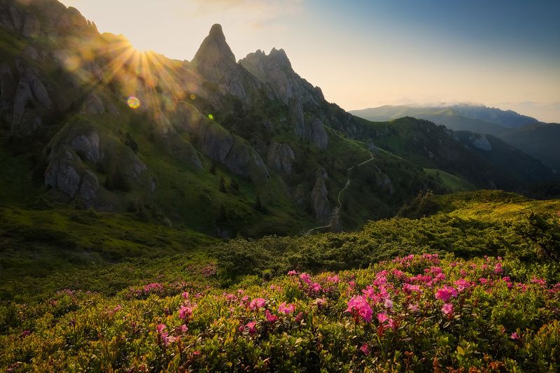 2025 фото превью