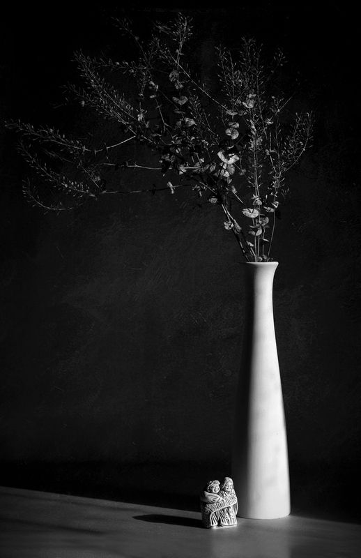 Мудрецы фото превью