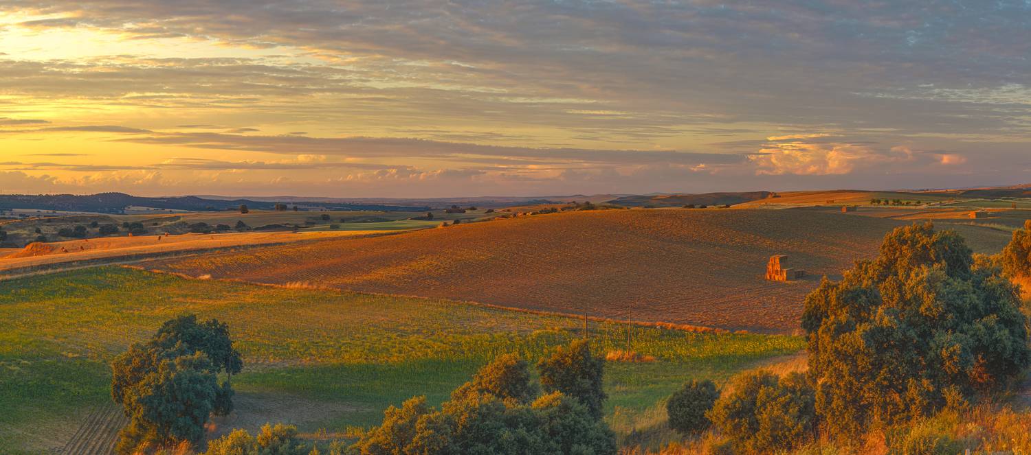 , Шварцман Евгений