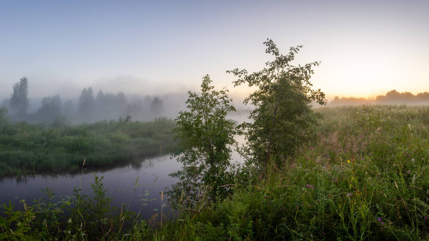 , Комарова Вера