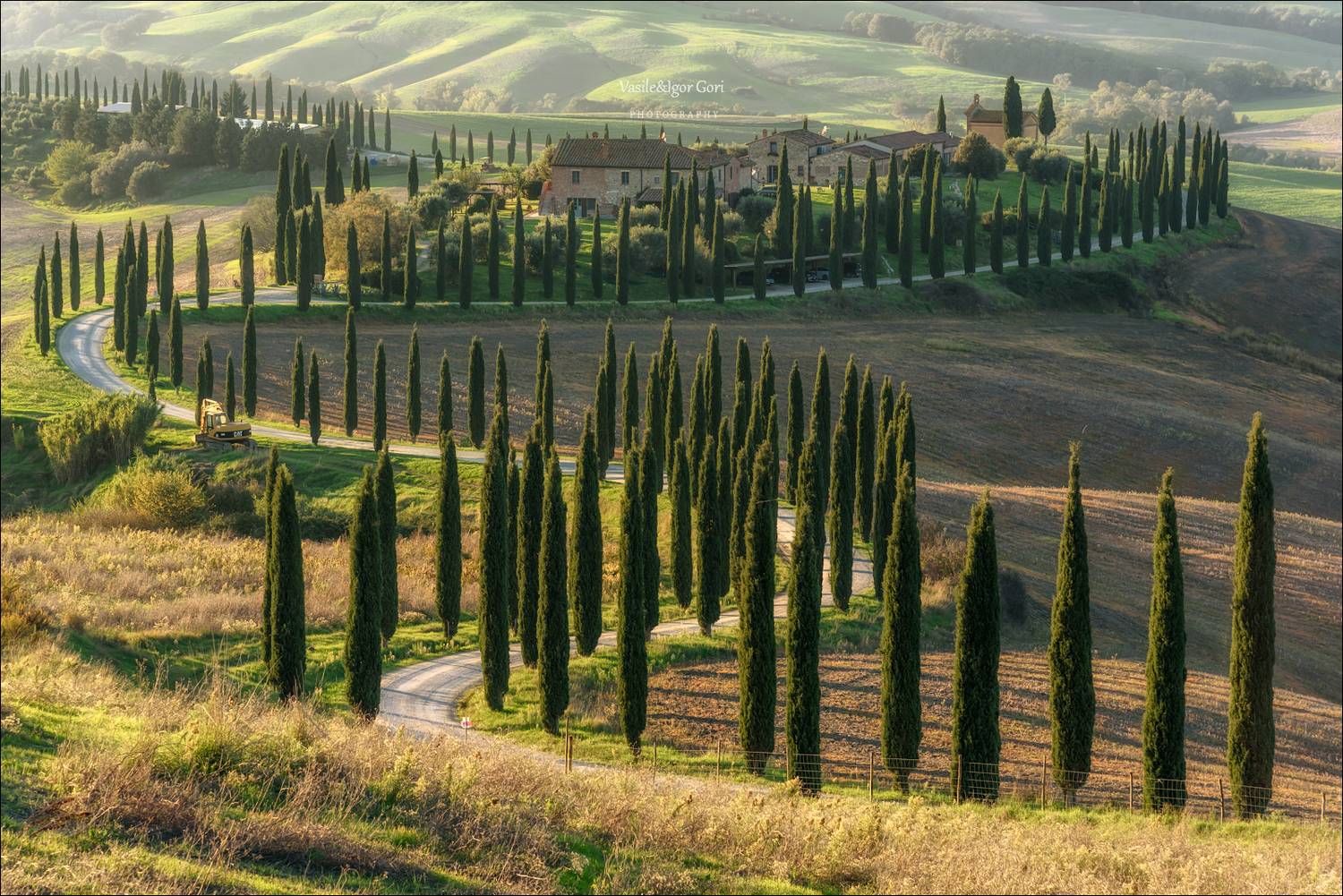italy,crete senesi,italia,италия,тоскана,кипарис,toscana,осень,tuscany,cipressi,belvedere,asciano,тени,podere baccoleno,rural, Гори Василий