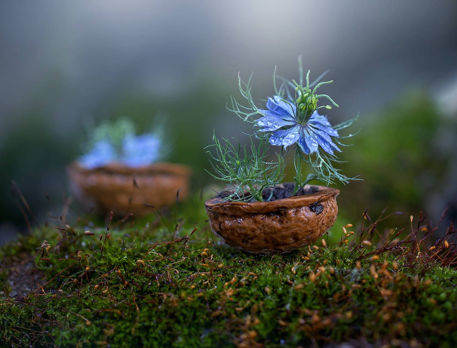 , Инна Сухова