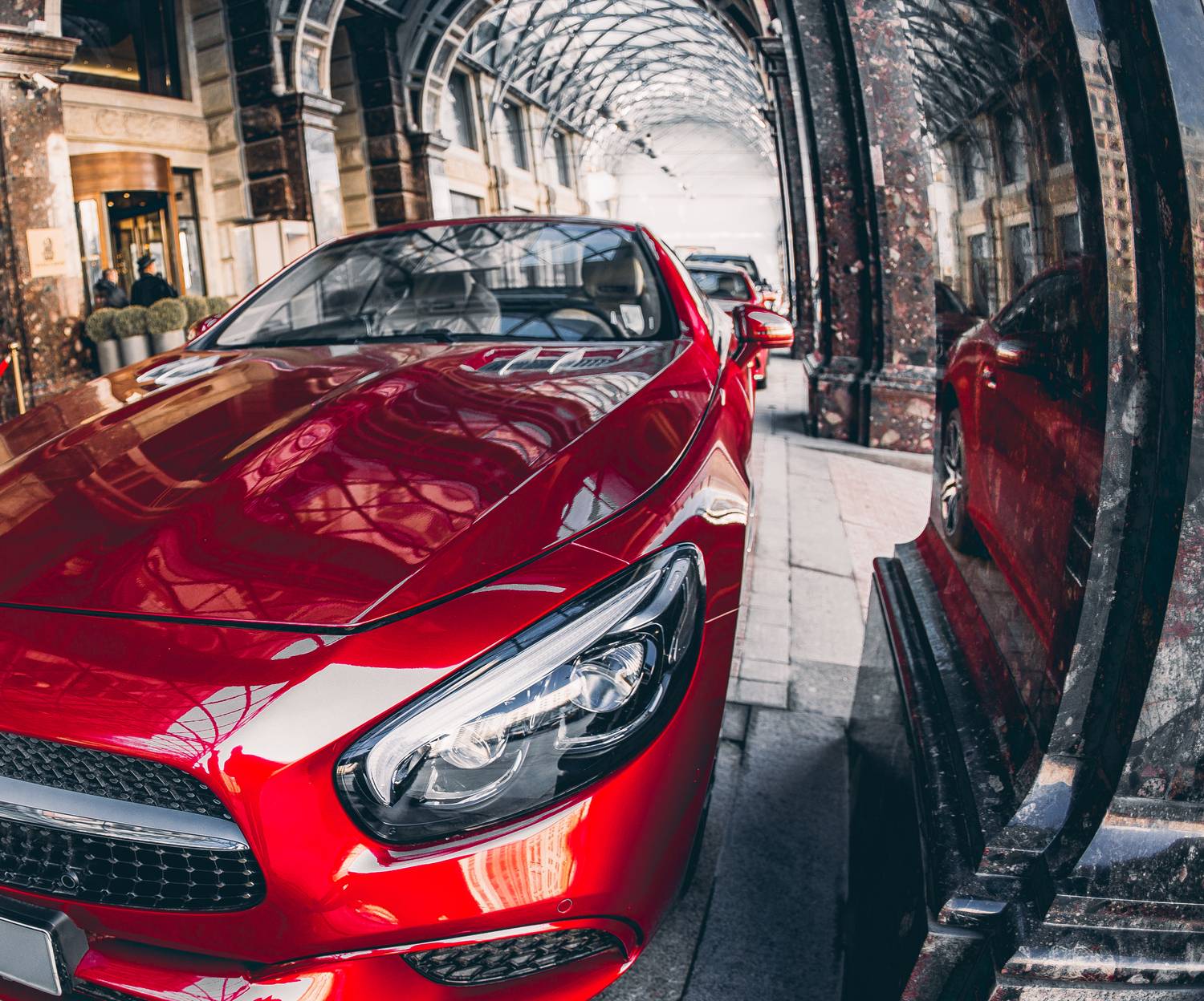 , Трепольский Дмитрий