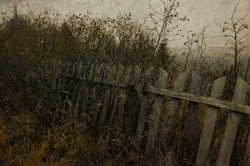 Старый забор фото превью