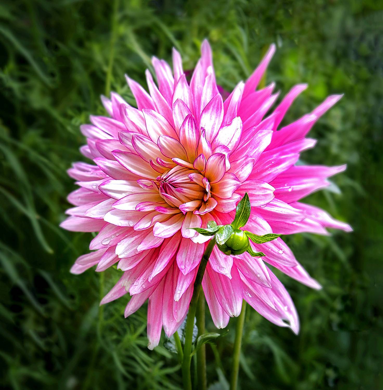 , Ушаков Валерий