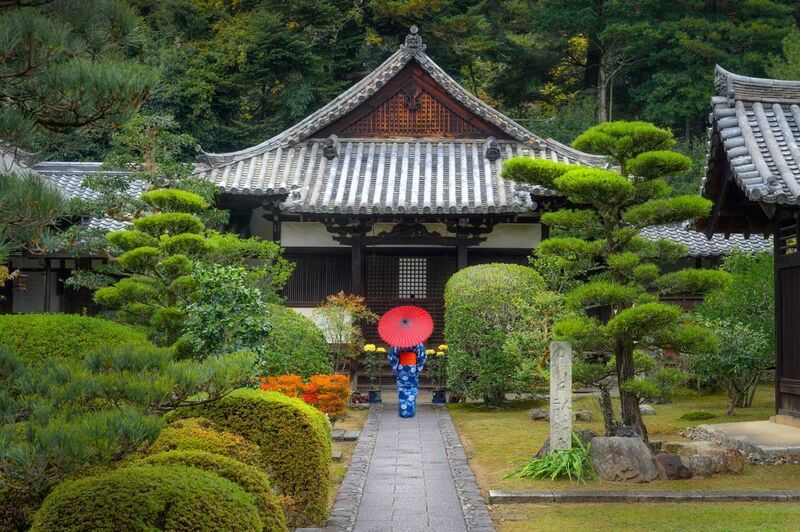 Нара, Япония, девушка с зонтиком, japan, nara  фото превью