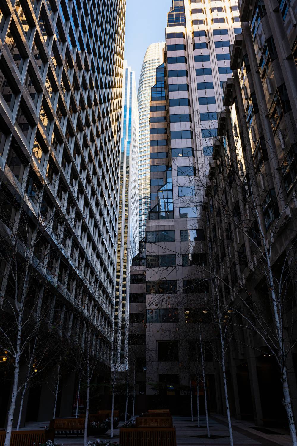 #Building #Skyscraper #Window #Tower block #Urban design #Condominium #Tower #Sky #Commercial building #Residential area #saleforce tower #san francisco #reflection #glow #birch #window #line #leading line, Shpek Andrey