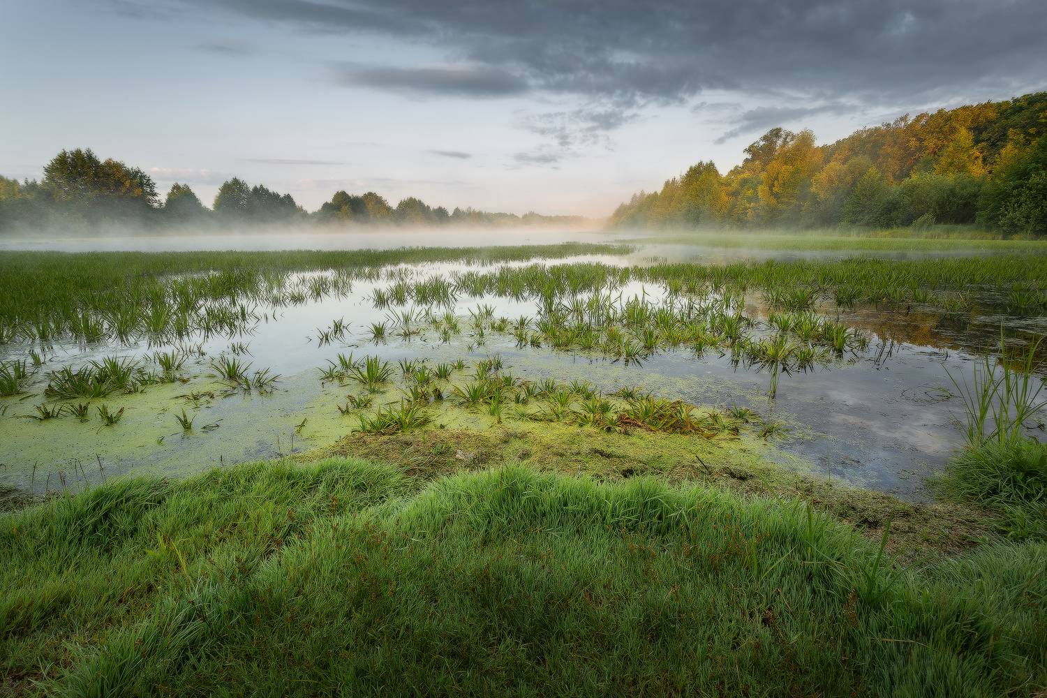 утро лето озеро берег туман солнце, Михаил Корнилов